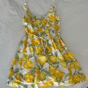 Pappagallo Lemon Print Dress - Yellow and White - 4